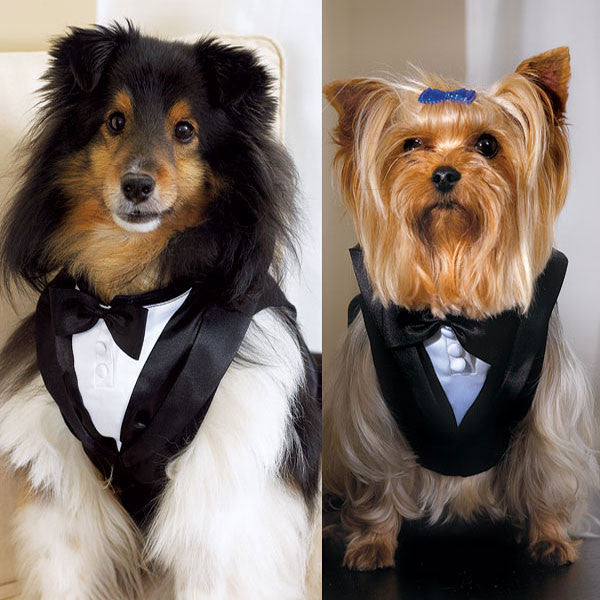 Pet Tux Medium