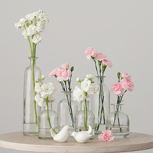 Decorating Glass Bottle Set - Clear