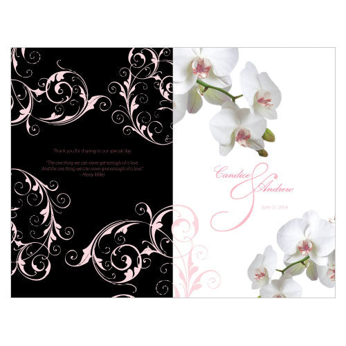 Classic Orchid Program Pastel Pink