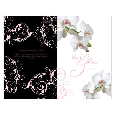 Classic Orchid Program Pastel Pink