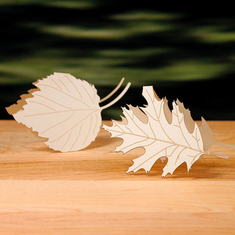 Laser Expressions Leaf Folded Place Card Sea Blue