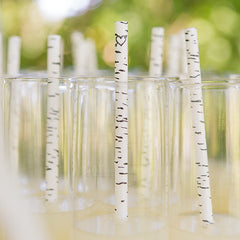 Celebration Party Supplies