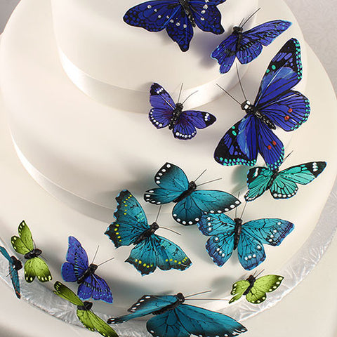 Hand Painted Butterfly - (24) Assorted Sizes Natural Elegance