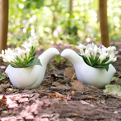 Small White Ceramic Bird Favor Container