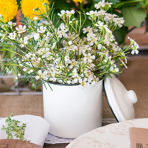 Vintage White Enamelware Canister with Lid Favor