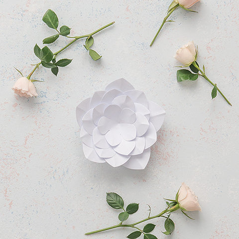 Small DIY Paper Apple Blossom Décor Flower White