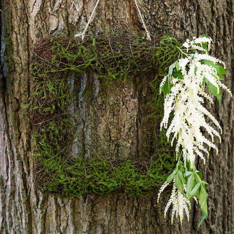 Faux Moss and Wicker Square Frame - Small